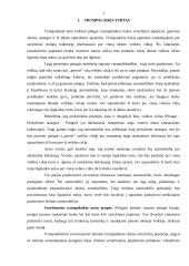 Atsargų apskaita: UAB "Odina" 3 puslapis