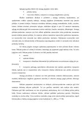 Atsargų apskaita: UAB "Odina" 6 puslapis