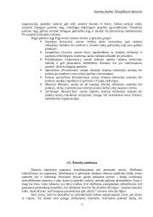 Žmogiškasis faktorius 5 puslapis
