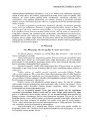 Žmogiškasis faktorius 7 puslapis