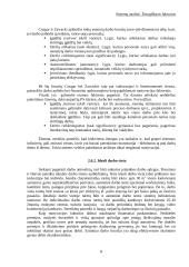 Žmogiškasis faktorius 8 puslapis