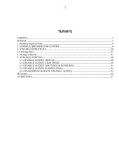 Atsargų saugojimo organizavimas 2 puslapis