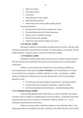 Atsargų saugojimo organizavimas 12 puslapis