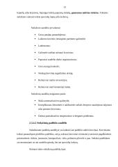 Atsargų saugojimo organizavimas 13 puslapis
