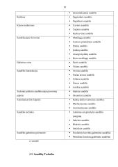 Atsargų saugojimo organizavimas 10 puslapis