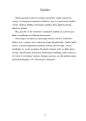 Projektas - Žmogus ir gamta 14 puslapis