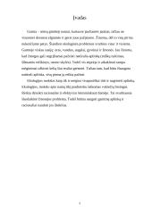 Projektas - Žmogus ir gamta 3 puslapis