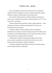 Projektas - Žmogus ir gamta 4 puslapis