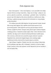 Projektas - Žmogus ir gamta 6 puslapis