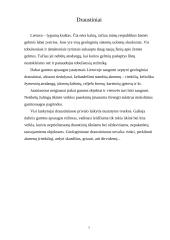 Projektas - Žmogus ir gamta 8 puslapis