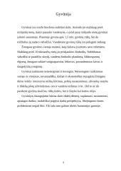 Projektas - Žmogus ir gamta 10 puslapis