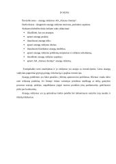 Atsargų valdymas: AB "Alytaus chemija" 2 puslapis