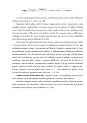 Atsargų valdymas: AB "Alytaus chemija" 11 puslapis