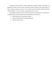 Atsargų valdymas: AB "Alytaus chemija" 13 puslapis