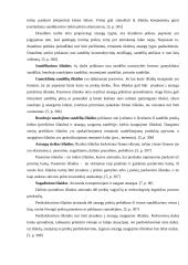 Atsargų valdymas: AB "Alytaus chemija" 16 puslapis