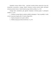 Atsargų valdymas: AB "Alytaus chemija" 18 puslapis