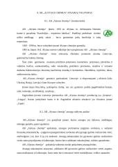 Atsargų valdymas: AB "Alytaus chemija" 19 puslapis