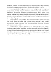 Atsargų valdymas: AB "Alytaus chemija" 4 puslapis