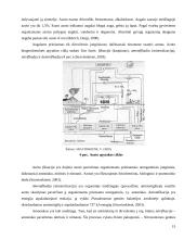 Žmogus ir medžiaginiai srautai: link darnaus medžiagų valdymo 15 puslapis