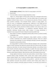 Atsargų valdymo problemos: UAB "Jovitėlė" 13 puslapis