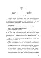Atsargų valdymo problemos: UAB "Jovitėlė" 16 puslapis