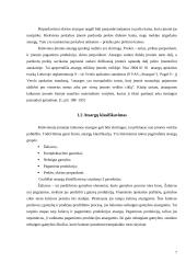 Atsargų valdymo problemos: UAB "Jovitėlė" 7 puslapis