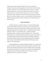 Ugdymas ir žmogus kaip ugdytinis 5 puslapis