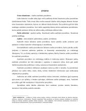 Audito analitinės procedūros 2 puslapis