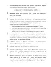 Audito analitinės procedūros 16 puslapis