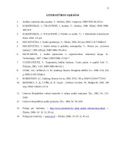 Audito analitinės procedūros 19 puslapis