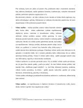 Audito analitinės procedūros 6 puslapis