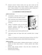 Audito analitinės procedūros 9 puslapis