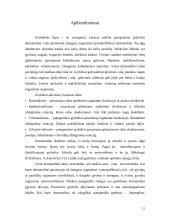 Žmonių ligas sukeliantys grybai 11 puslapis