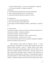 Žmonių ligas sukeliantys grybai 13 puslapis