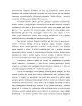 Žmonių ligas sukeliantys grybai 5 puslapis