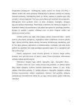 Žmonių ligas sukeliantys grybai 7 puslapis