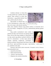 Žmonių ligas sukeliantys grybai 8 puslapis