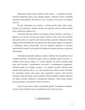 Žmonių ligas sukeliantys grybai 9 puslapis