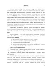 Audito ataskaita 2 puslapis