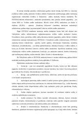 Audito ataskaita 11 puslapis