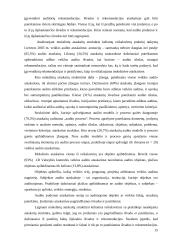 Audito ataskaita 12 puslapis