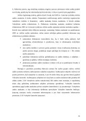 Audito ataskaita 13 puslapis