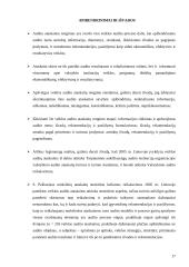 Audito ataskaita 14 puslapis