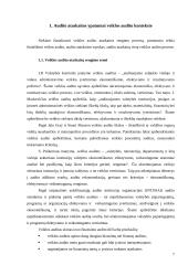 Audito ataskaita 4 puslapis