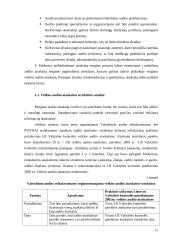 Audito ataskaita 8 puslapis