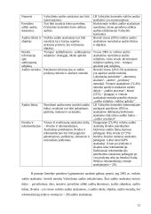 Audito ataskaita 9 puslapis