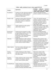 Audito ataskaita 10 puslapis