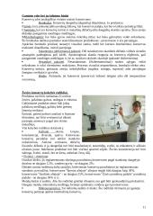 Žuvies konservai 11 puslapis