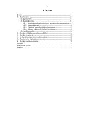 Audito rizika ir jos įvertinimas 2 puslapis