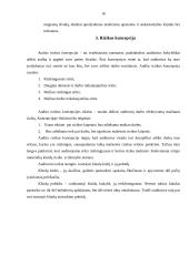 Audito rizika ir jos įvertinimas 16 puslapis